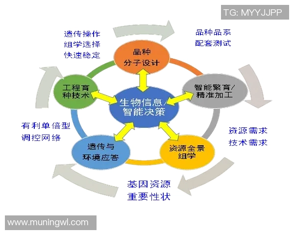 聚焦娱乐实验平台建设探索创新与发展新路径