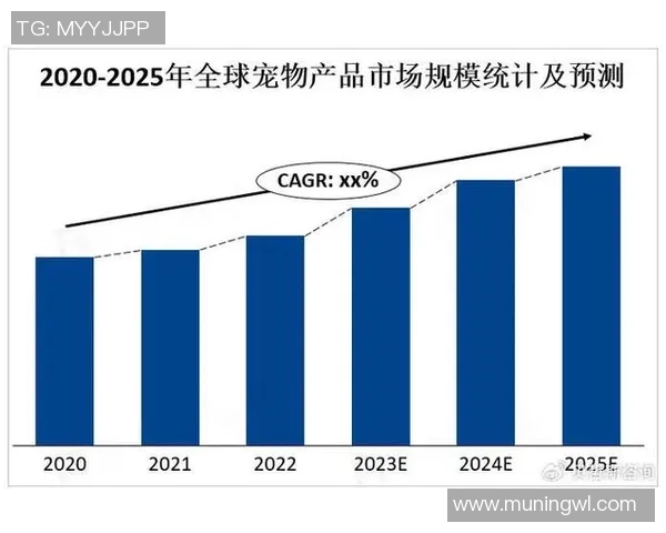 聚焦娱乐产品发展蓝图探索未来市场潜力与创新方向