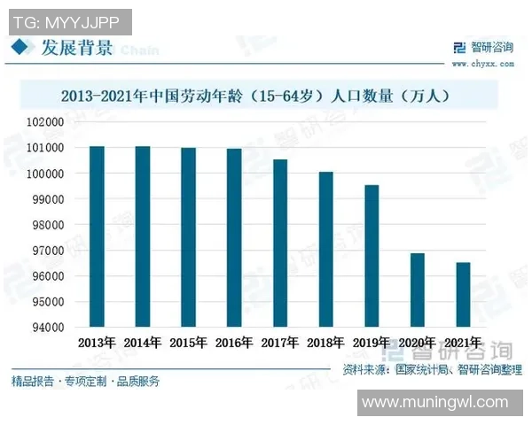 聚焦未来娱乐市场发展趋势的产品路线图解析与展望